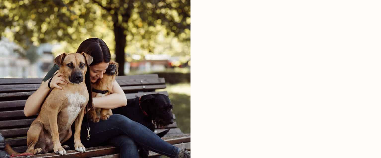 Hundehalterin kuschelt mit zwei Hunden auf einer Bank im Stadt-Park