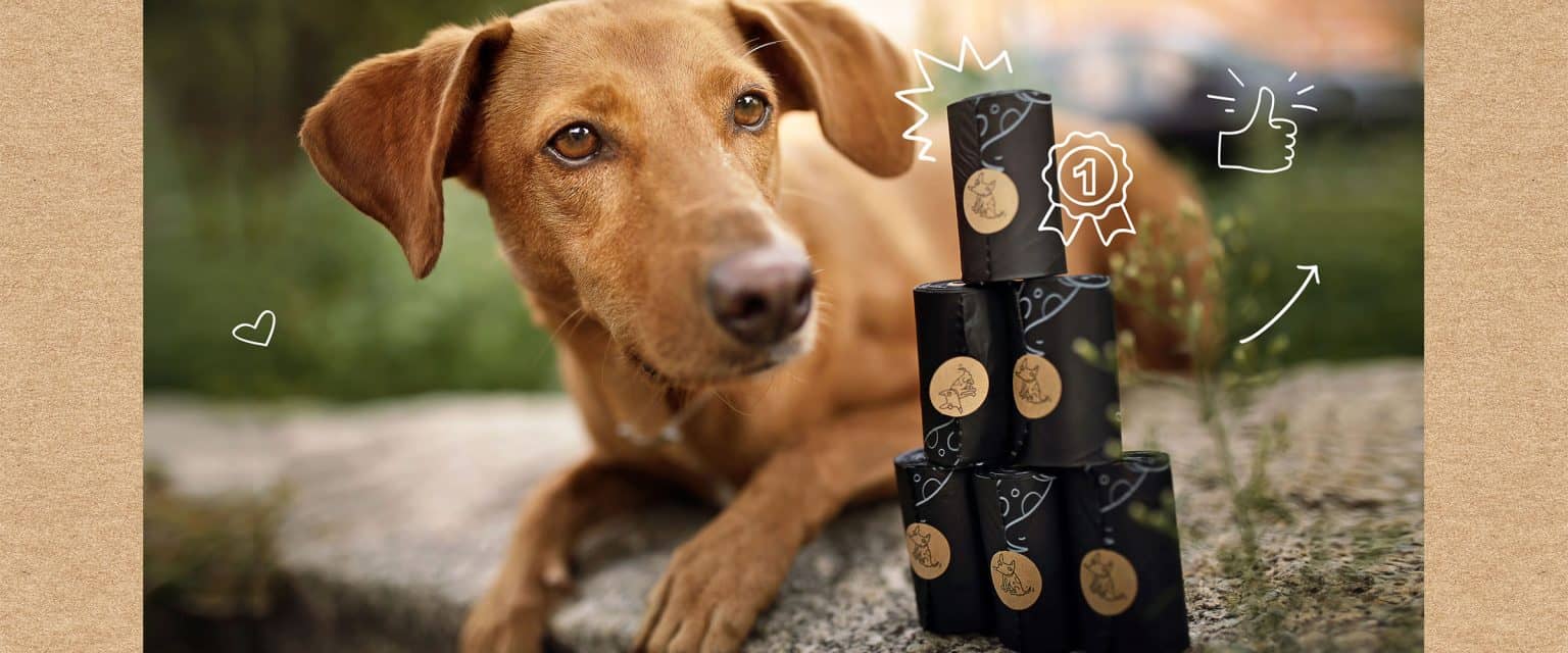 Ein Hund liegt auf dem Bauch und betrachtet biologisch abbaubare Hundekotbeutel, die als Turm aus kleinen Rollen arrangiert wurden